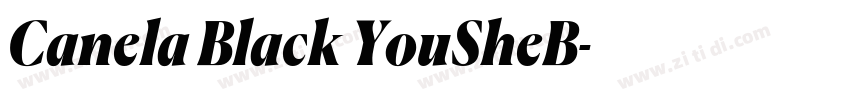 Canela Black YouSheB字体转换 Canela Black YouSheB字体转换